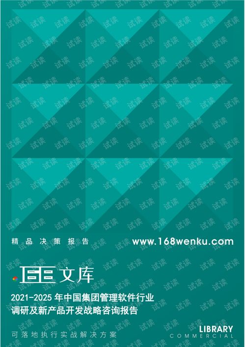 2021-2025年中國集團管理軟件行業調研及新產品開發戰略咨詢報告
